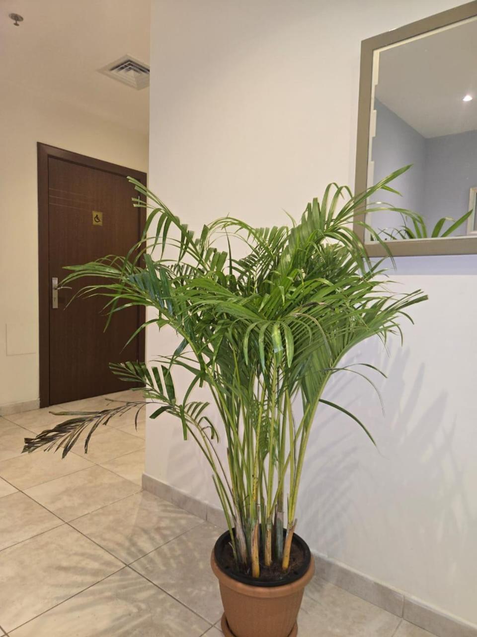 Al Raya Hotel Apartments Dubai Exterior foto